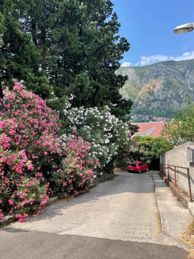 Apartment Garden Κότορ Εξωτερικό φωτογραφία
