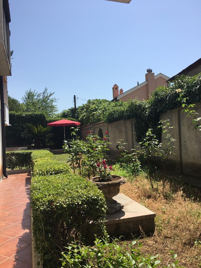 Apartment Garden Κότορ Εξωτερικό φωτογραφία